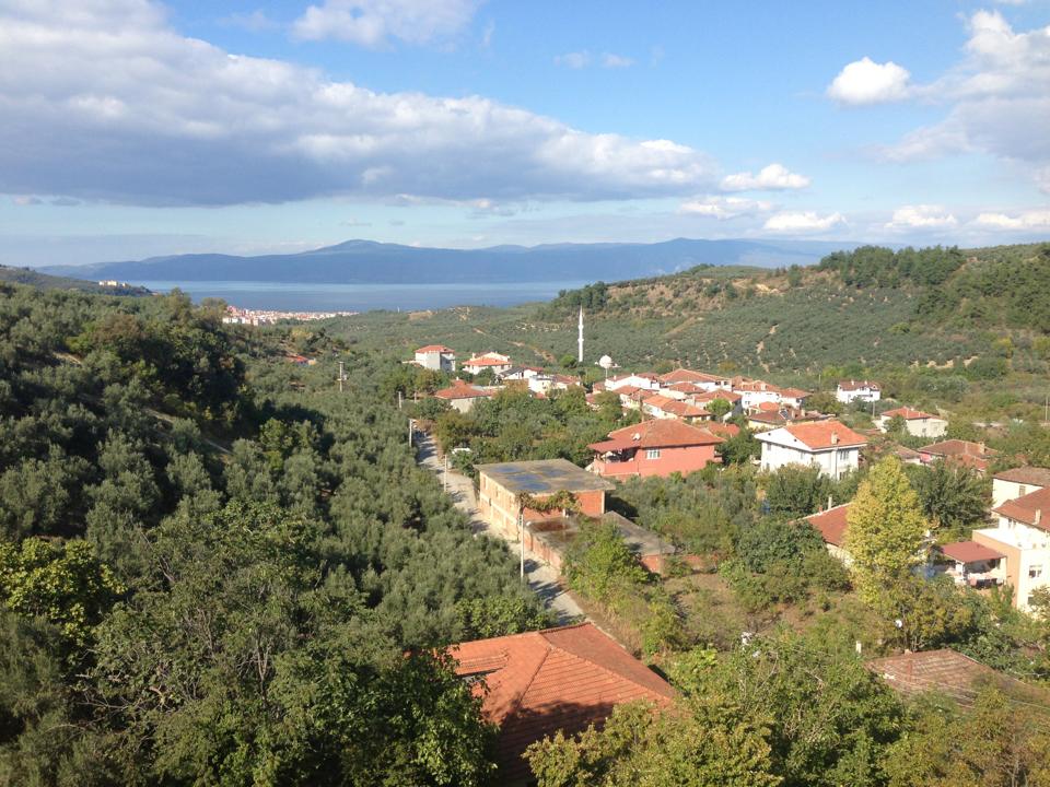 Misebolu/Aydınpınar Hakkında