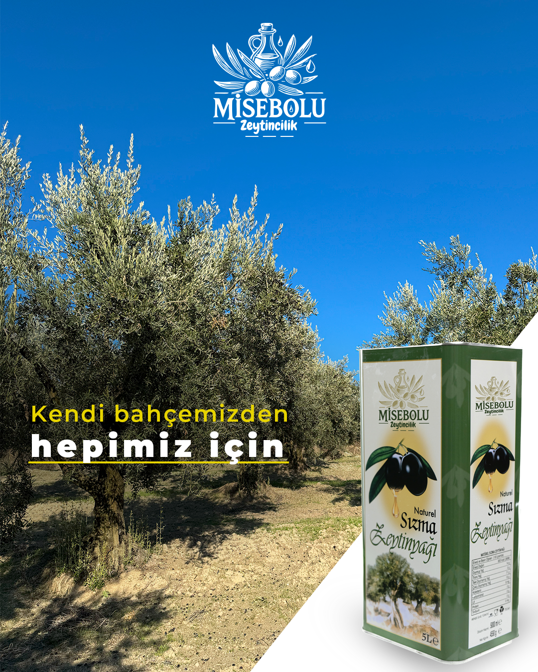 5 Lt Yeni Mahsül Naturel Zeytin Yağı